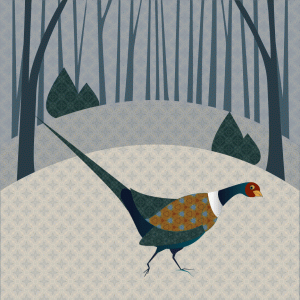 Picture of a pheasant in woodland, inspired by the Trough of Bowland and Fylde Coast, Lancashire. Original artwork blending hand drawn and digital imagery. Square prints available on Etsy.
