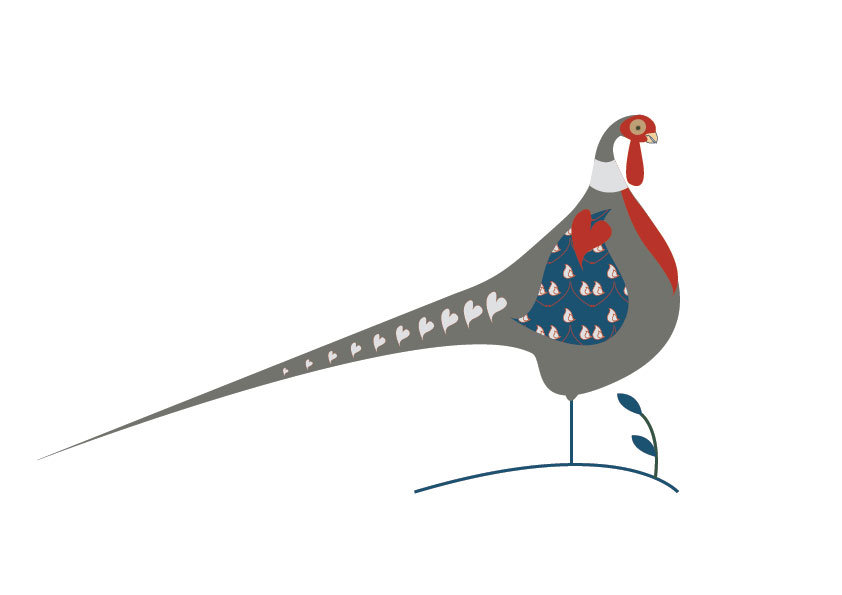 Illustration of a Pheasant.