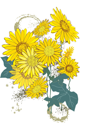 Sunflowers digital illustration