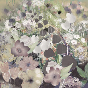 Summer Meadow