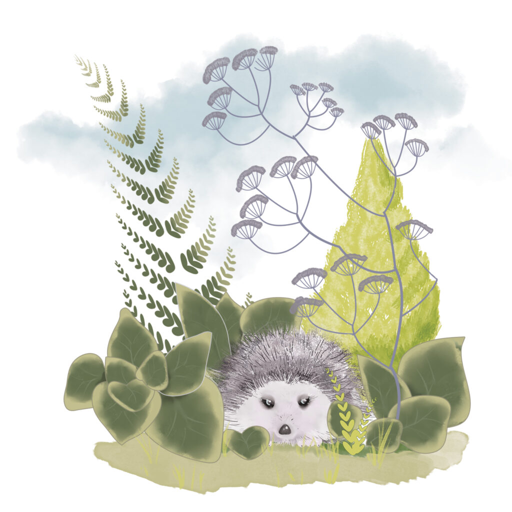 Garden Hedgehog card, available on https://www.yousaidit.co.uk/product/hidden-hedgehog